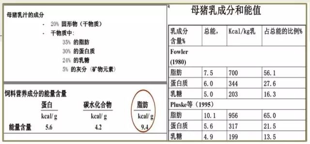 新奥全年免费资料大全优势及精选资料解析大全