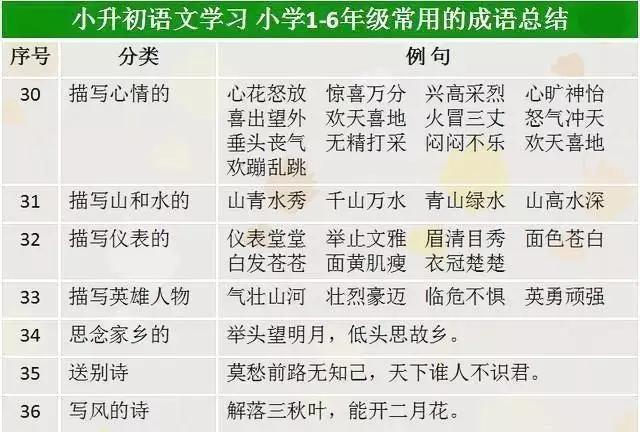 关于天空彩9944CC天下彩免费与精选资料解析的探讨——揭示背后的风险与真相