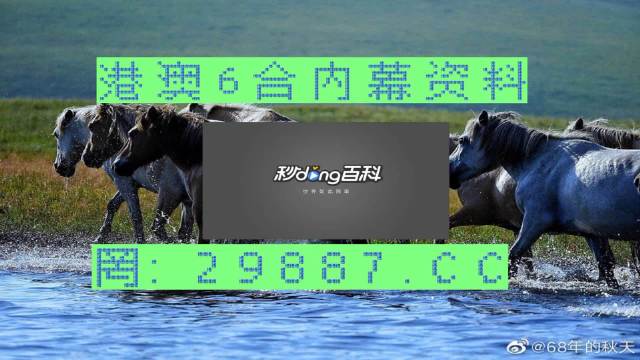 澳门马会精确免费资料与精选资料解析大全