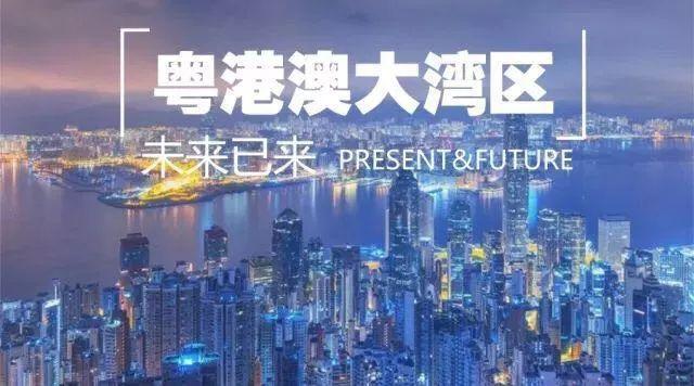 2025年新澳门天天开好彩大全,探索未来新澳门，2025年天天开好彩的奥秘与魅力