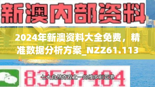 2004新澳正版资料最新更新,探索新澳正版资料，2004年最新更新详解