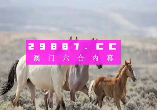 2023澳门六开彩,探索澳门六开彩的魅力，2023年的新篇章